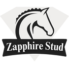 Zapphire Stud