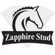 Zapphire Stud